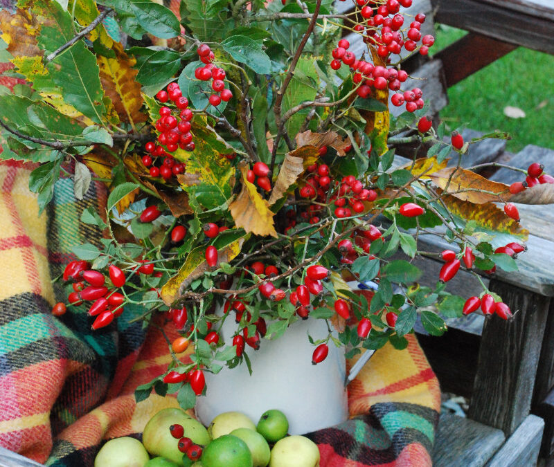 FORAGED AUTUMN ARRANGEMENT