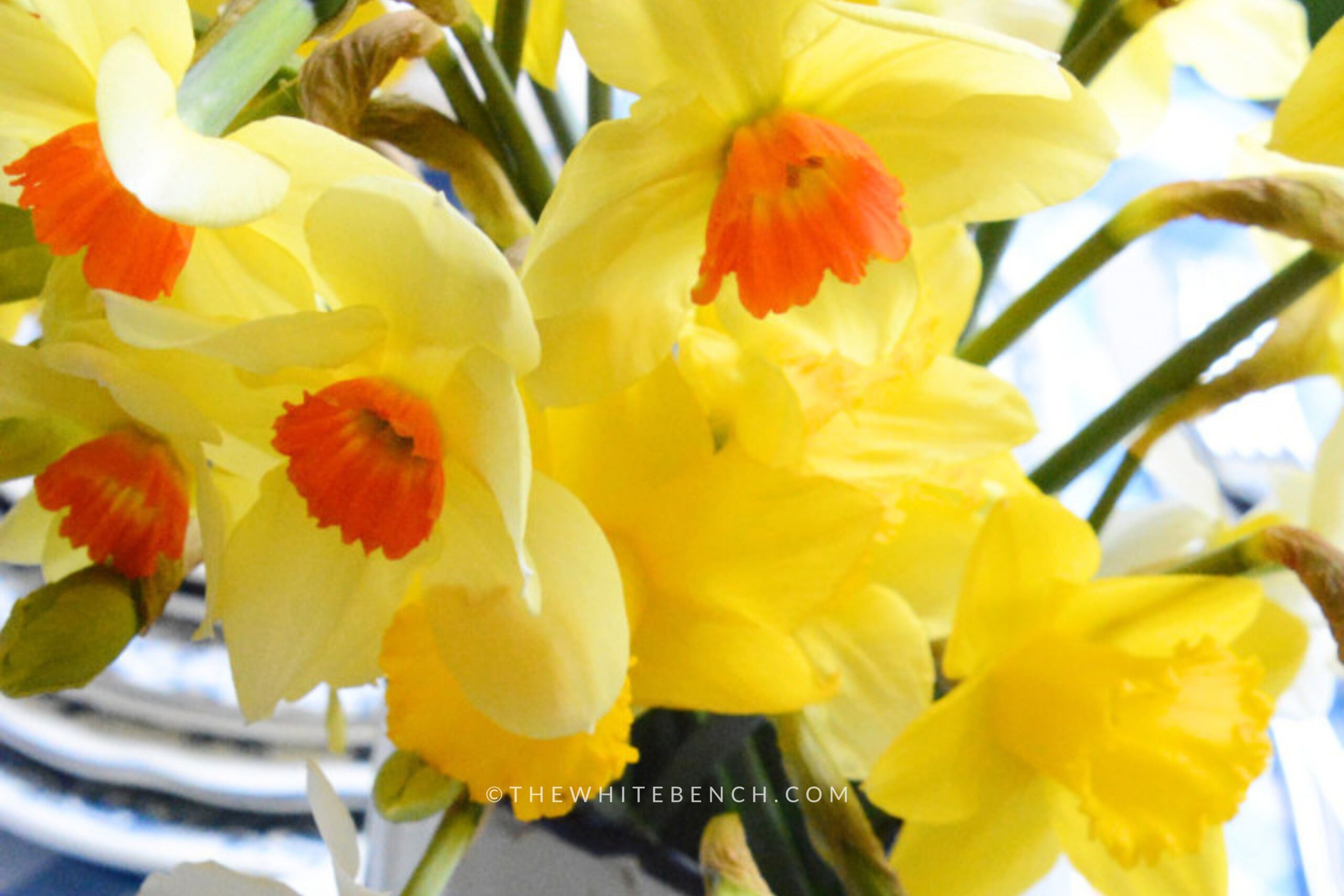 CREATIVE LIVING IDEAS: SIMPLE EASTER CENTERPIECE