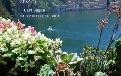 SOMETHING INCREDIBLE